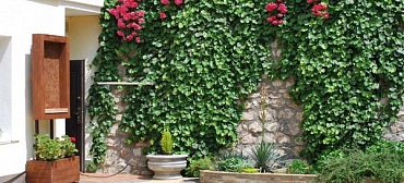 Гостевой дом Гостевой дом «Floral Courtyard» Гостевой дом Гостевой дом «Floral Courtyard»