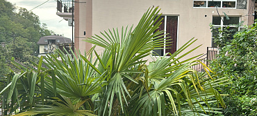 Гостевой дом "Пантера"