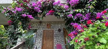 Гостевой дом Эль Платано