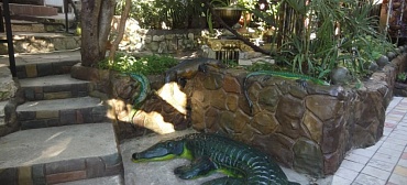 Частный сектор "Тропикано"