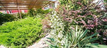 Вилла "Любимая" Вилла "Любимая"