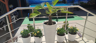 Гостевой дом "Айсберг"