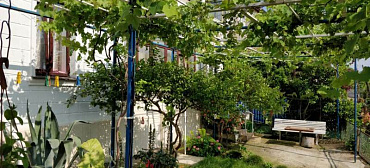 Гостевой дом "Несник" 