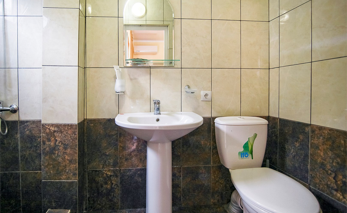 Стандарт двухместный с креслом. Гостевой дом «Алоиза». Лоо