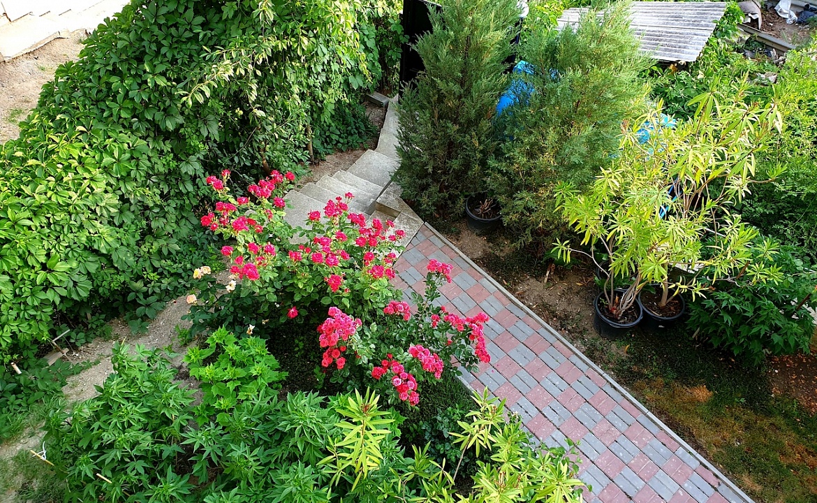 4-МЕСТНЫЙ КОМФОРТ. Гостевой дом "МоревдоМ". Коктебель