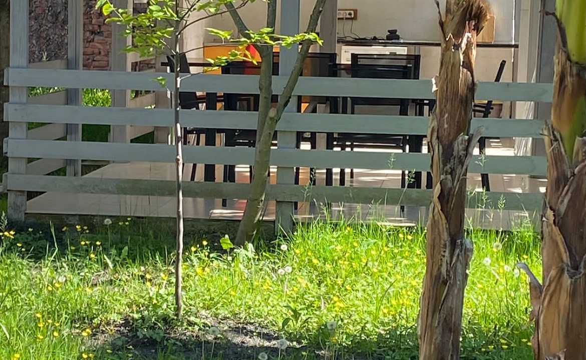 Двухкомнатные апартаменты-студия. Частный сектор Buffalo . Сухум