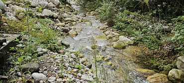 Гостевой дом "Пантера"