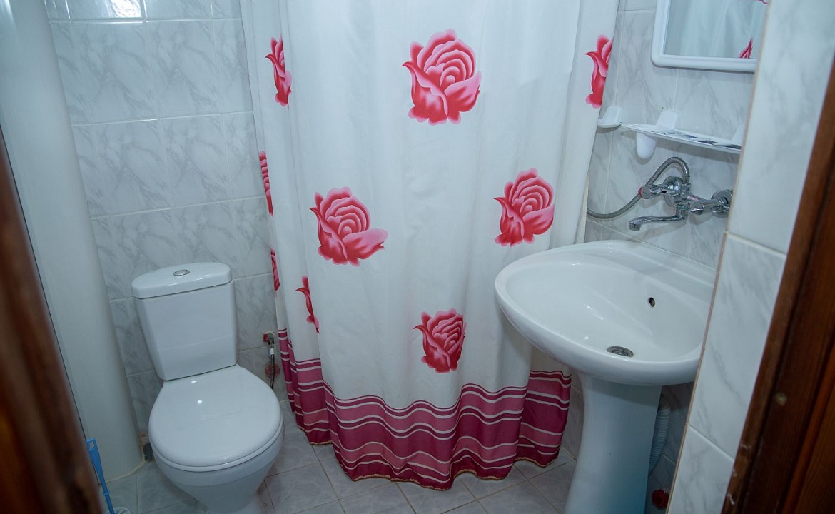 Классический. Гостевой дом "Дельфин" - Голубицкая. Голубицкая