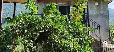 Гостевой дом Джинджолия 8 