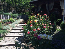 Гостевой дом "Paradise" Гостевой дом "Paradise"