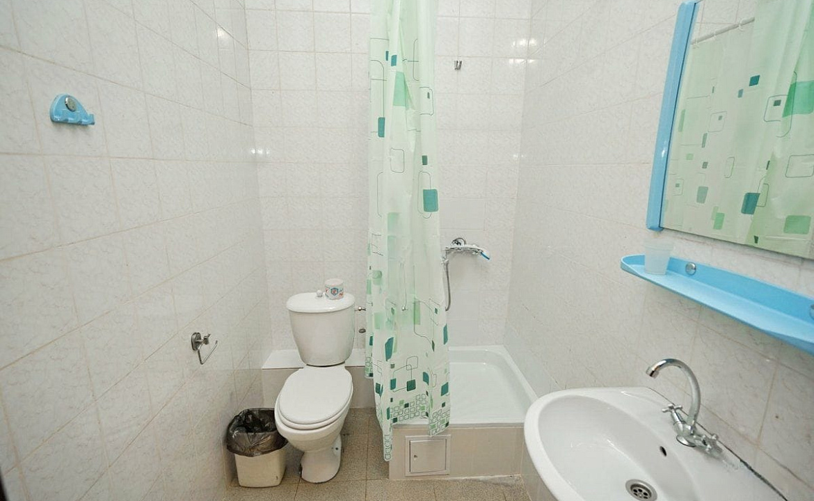 Двухкомнатный номер до 5 гостей. Гостевой дом "Цитрус". Лазаревское