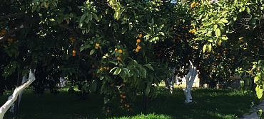 Дом под ключ Дача на море 