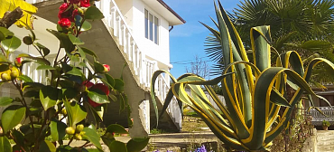 Гостиница Nargiz