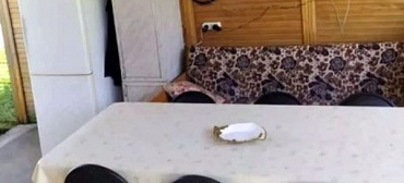 Гостевой дом "Филипп на 23 июля 41" 