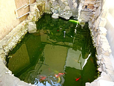 Гостевой дом "Магнолия" 