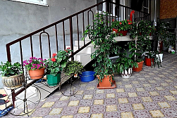 Гостиница "Долина цветов"