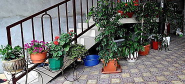 Гостиница "Долина цветов"