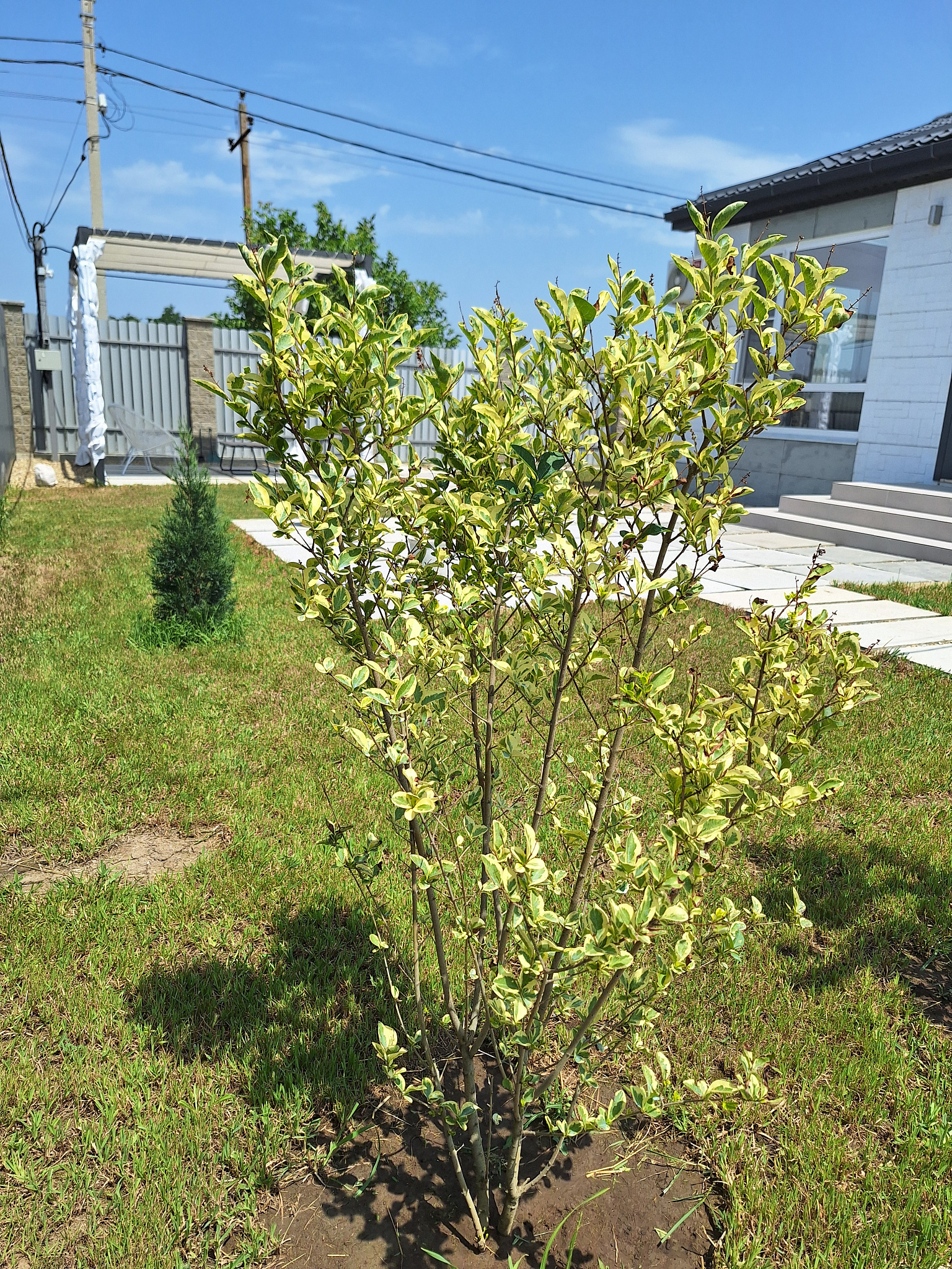 . Коттедж Коттедж Скандинавия Анапа . Анапа