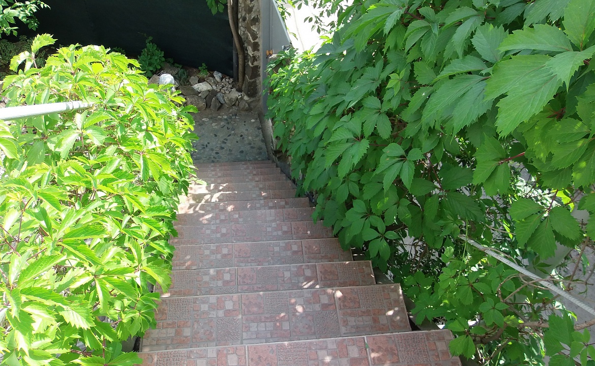 Двухкомнатный 4-х местный на 2-м этаже. Гостевой дом Гостевой дом "Спортлото-82".. Коктебель