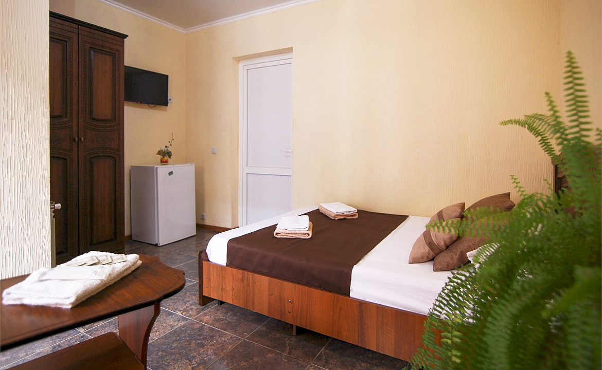 Стандарт двухместный с креслом. Гостевой дом «Алоиза». Лоо