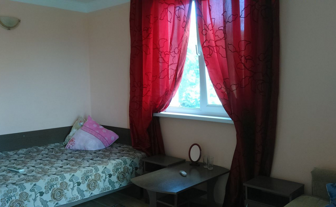 Полулюкс. Гостевой дом Дельфин - Новомихайловский. Новомихайловский