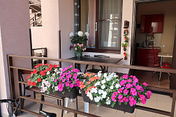 Гостевой дом «Шоколад»    