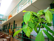 Гостиница "Дворик Джемете"