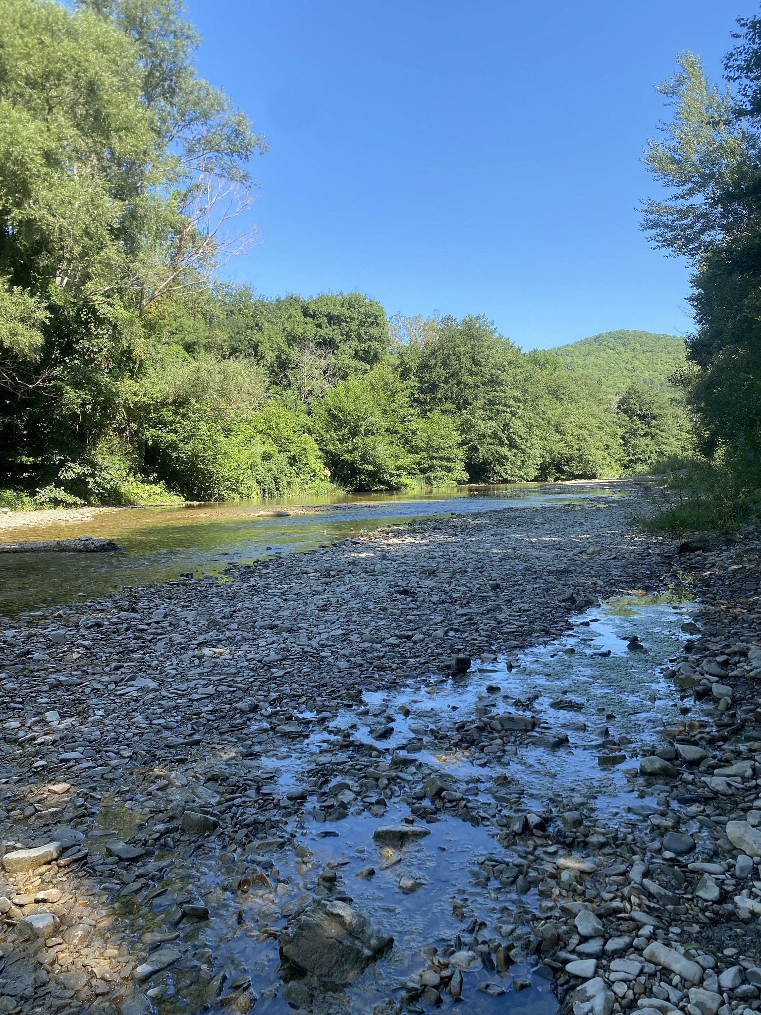 . База отдыха Шоколад . Архипо-Осиповка