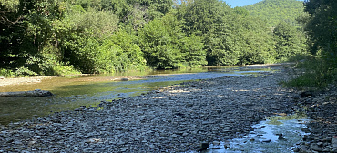 База отдыха Шоколад 