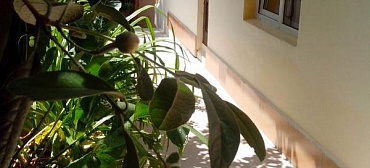 Частный сектор Сочинское шоссе 9в/20