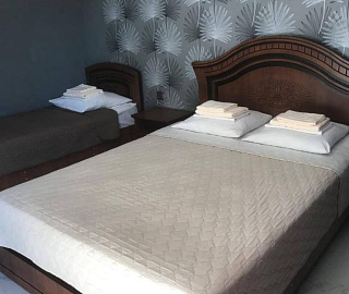 КОМФОРТ ПЛЮС 3местный. АНГЕЛИНА. 