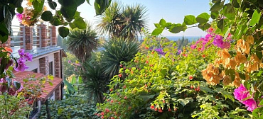 Гостевой дом Эль Платано