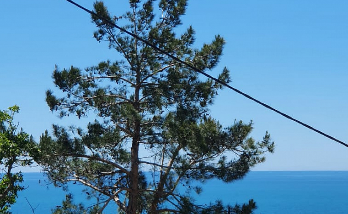 семейный. Гостевой дом Дельфин - Новомихайловский. Новомихайловский