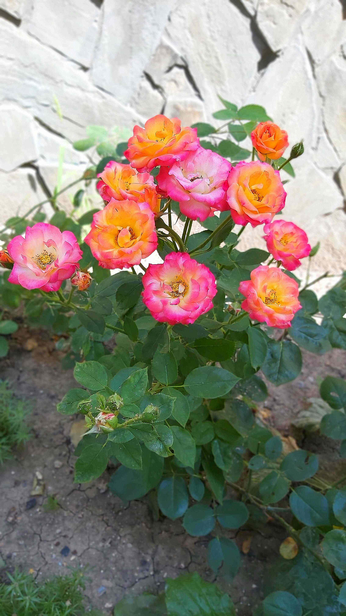 . Частный сектор Комнаты в центре Анапы. Анапа