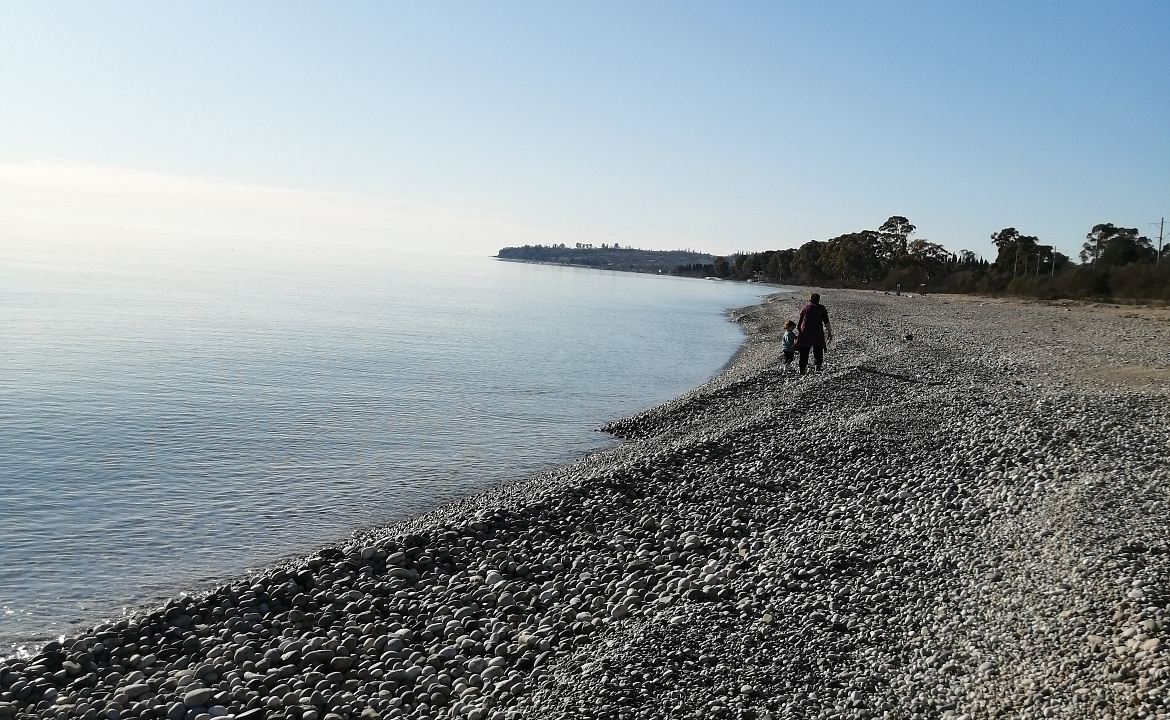 Лавровый лист . Частный сектор Лавровый лист. Новый Афон