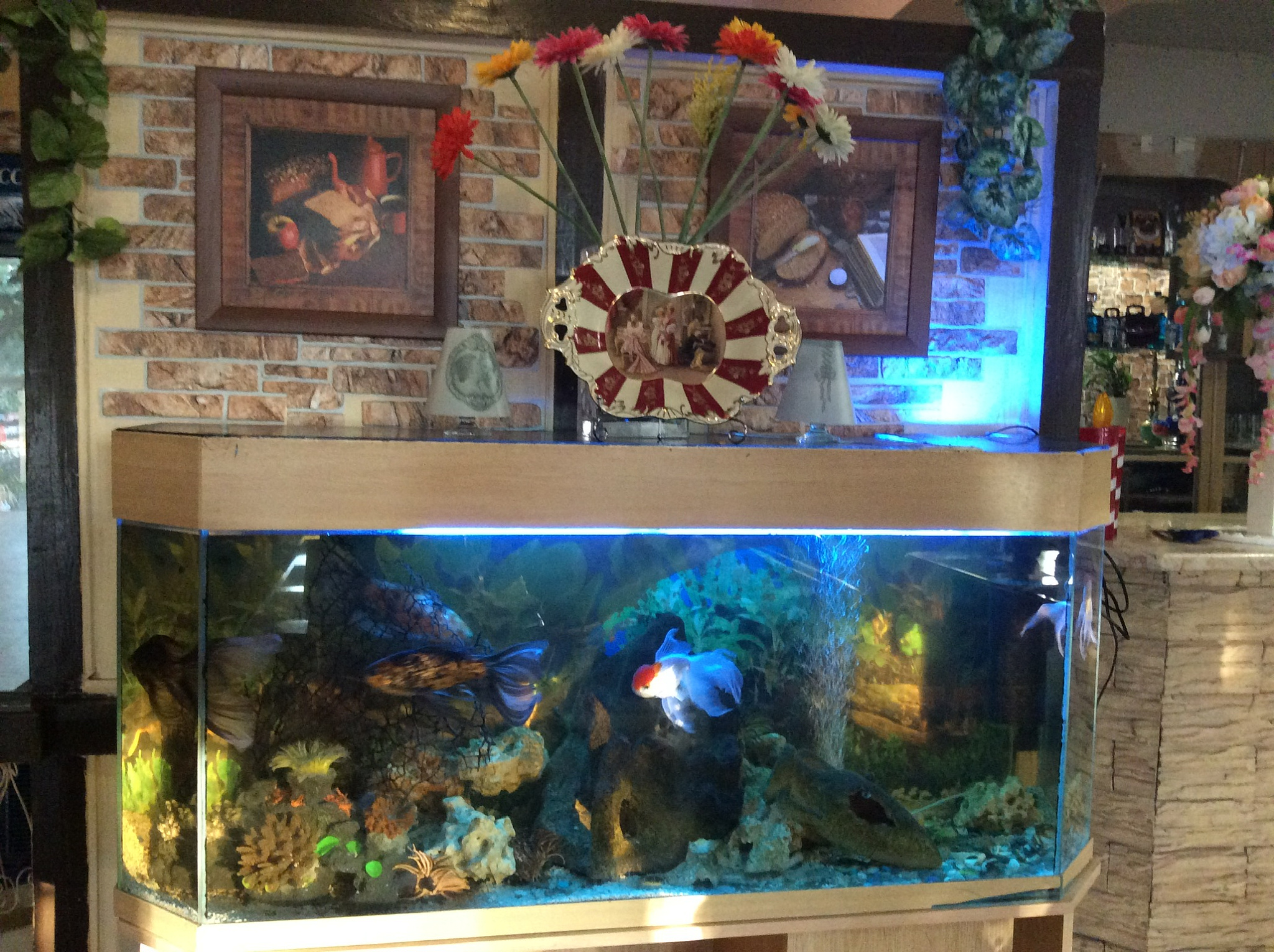 . Частный гостевой дом MozArt . Сочи