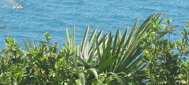 Частный сектор "Уютный дом"