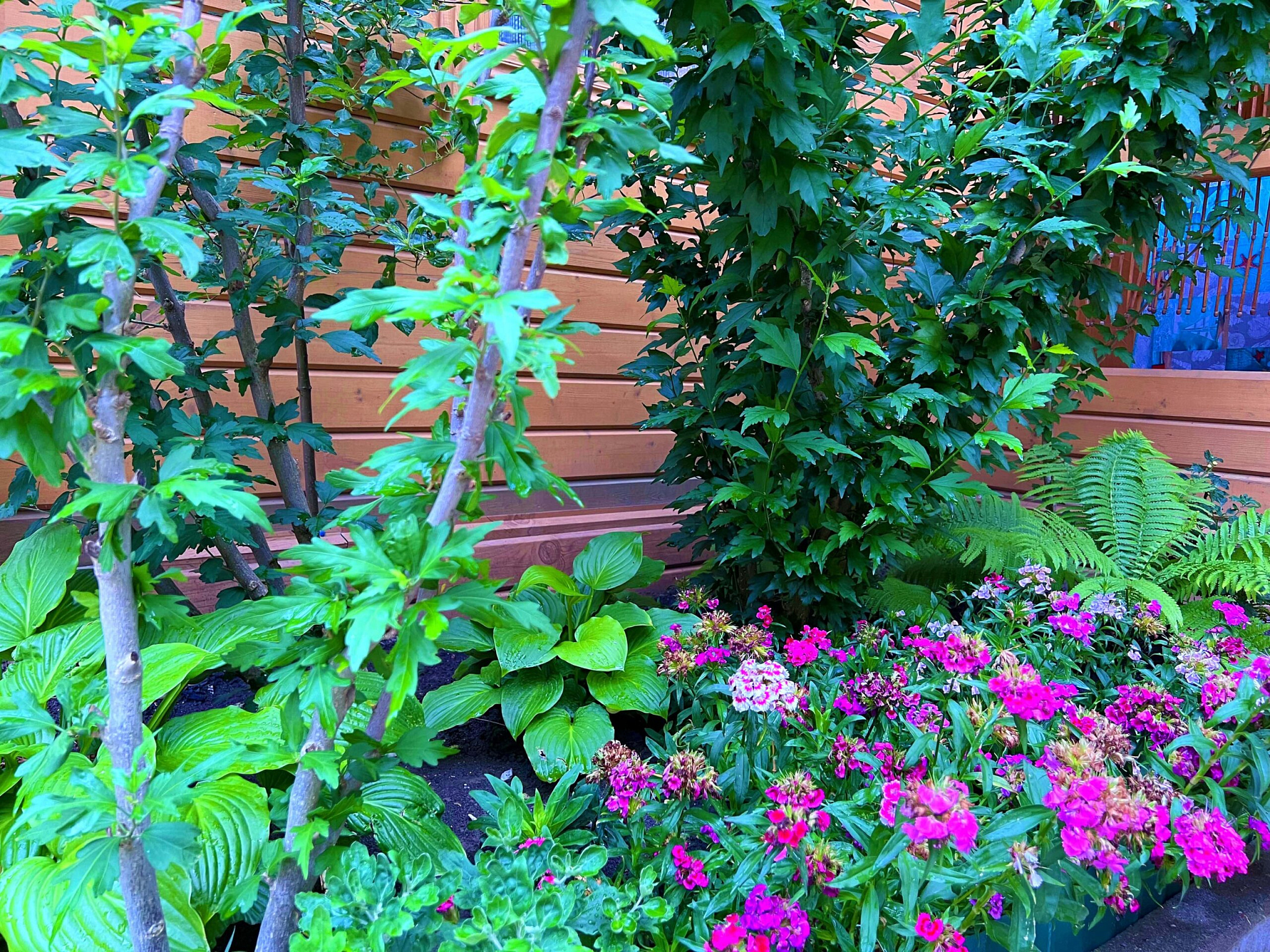 . Гостевой комплекс «Солнышно». Кабардинка