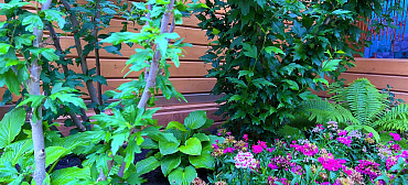 Гостевой комплекс «Солнышно»