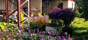 Гостевой дом "Оазис"