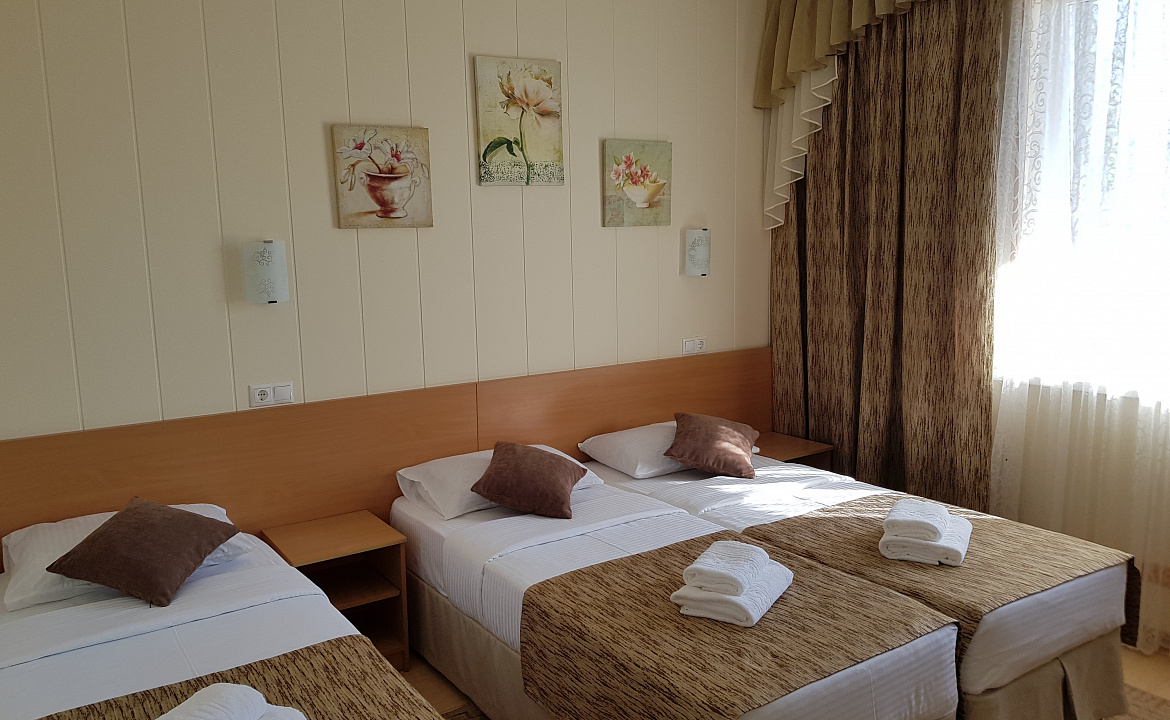 Люкс с отдельным балконом 3хместный. Отель АСТОН. Нижнее Джемете