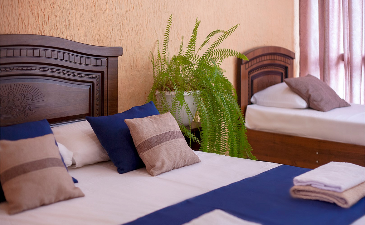 Комфорт трехместный. Гостевой дом «Алоиза». Лоо