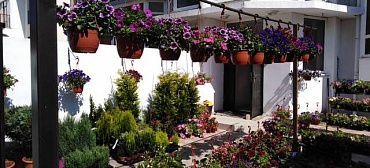 Гостиница "Долина цветов"