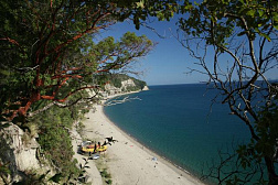Отель «Pine Beach» Отель «Pine Beach»