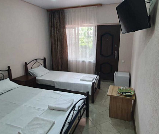 Трехместный номер. Гостевой дом "Розовая пантера". 