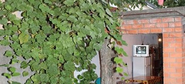 Частный сектор "Говорова 9"