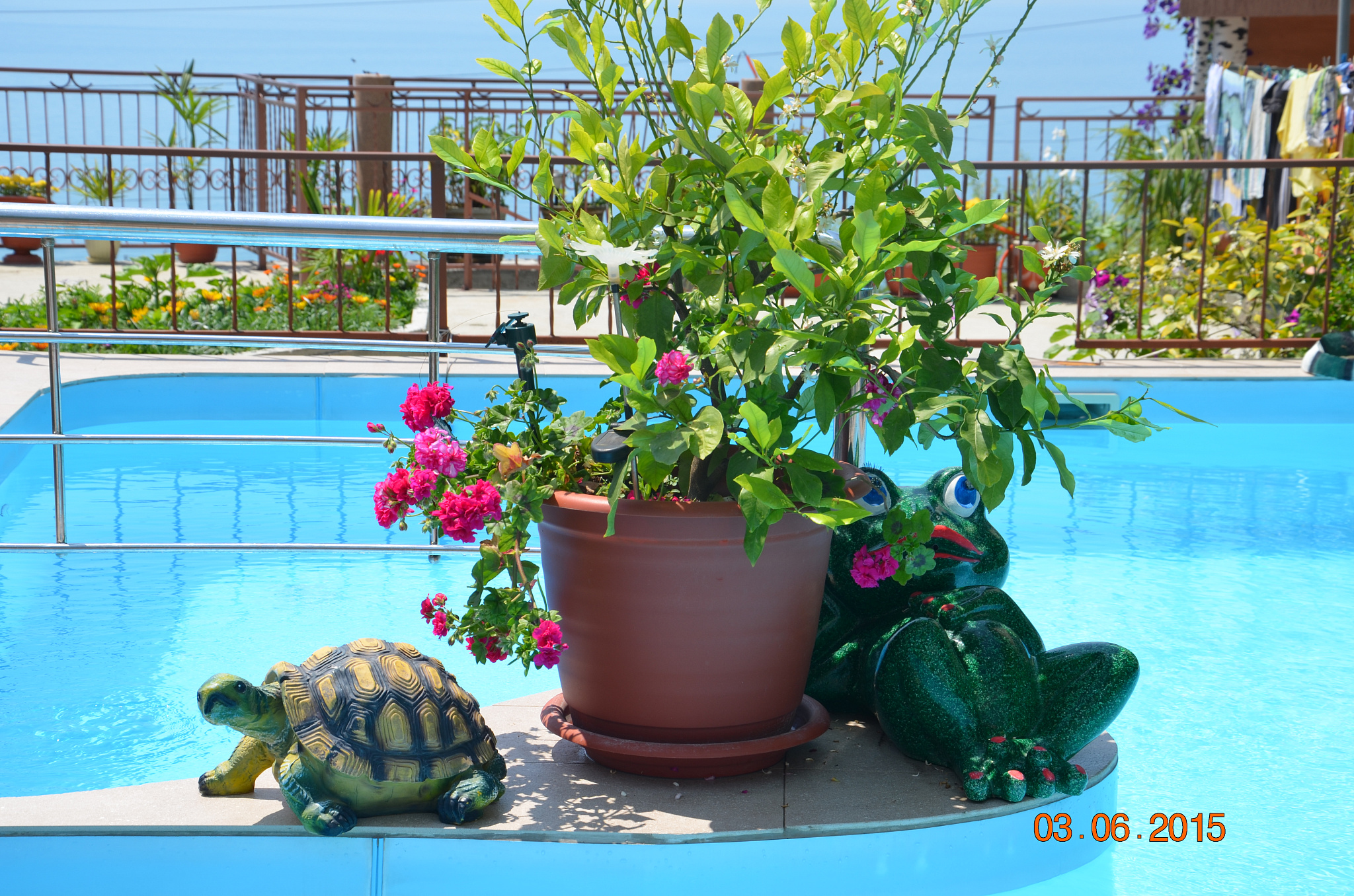 Частный сектор на Пролетарской 22