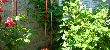 Частный сектор Отдых у Александра