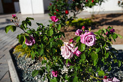 Гостевой комплекс «Московский Берег»