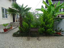 Гостевой дом «Авокадо»